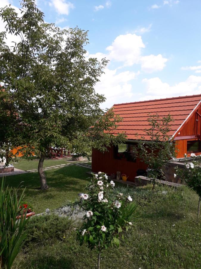 Mátyás Apartman Tard Exterior foto